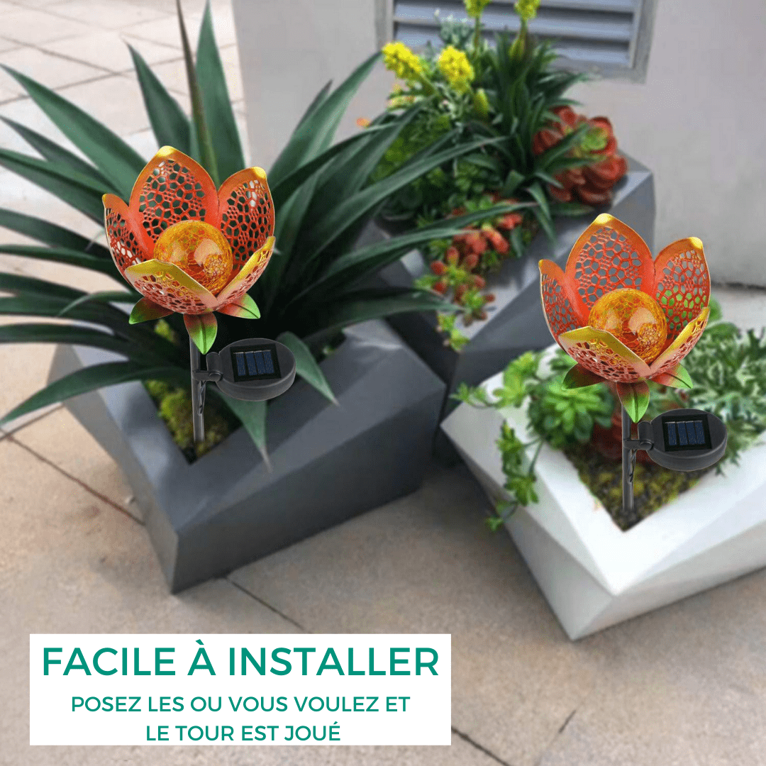 Fleur Solaire Pour Jardin
