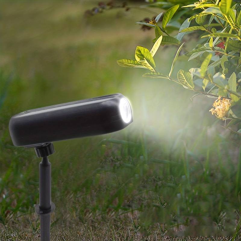 Projecteur Solaire Premium Réglable