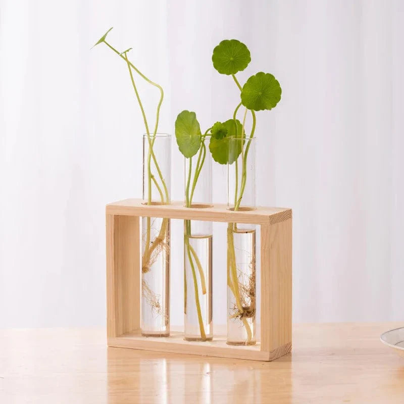 Vase à Tube Hydroponiques Esthétique