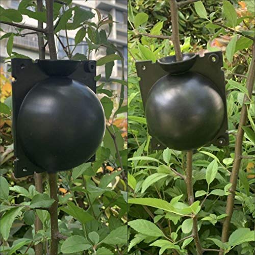Boules d'Enracinement de Plantes (lot de 5)