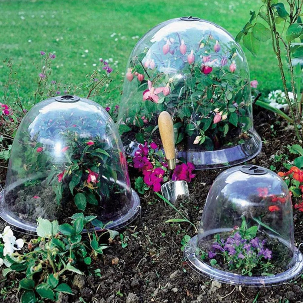 Couvercles Protecteurs Réutilisables pour Plantes
