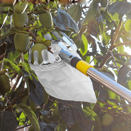 Cueilleur de Fruits Spécial Hauteur