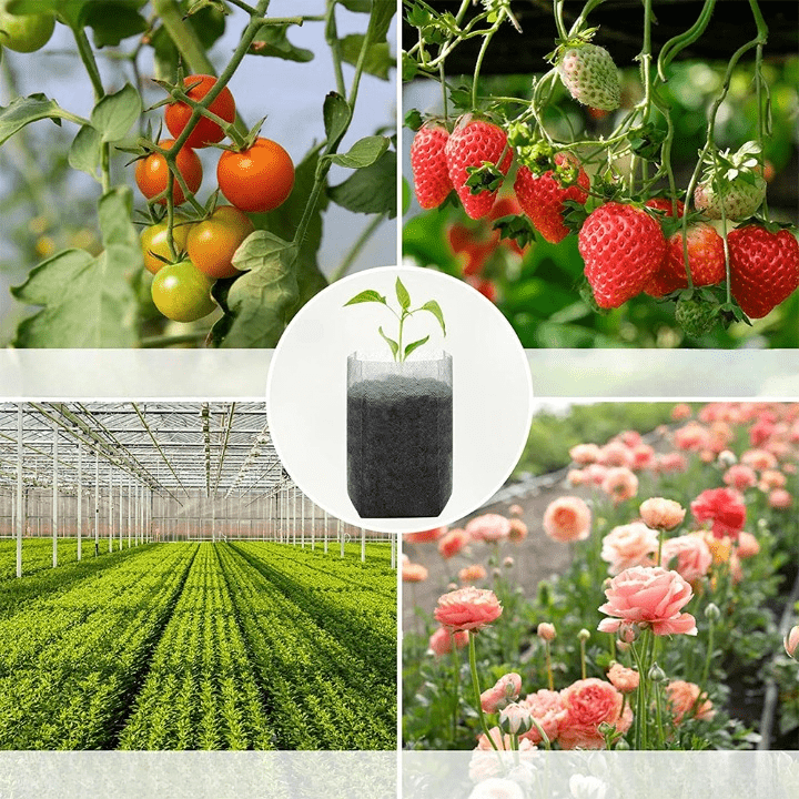 Sachets de Plantation Biodégradables