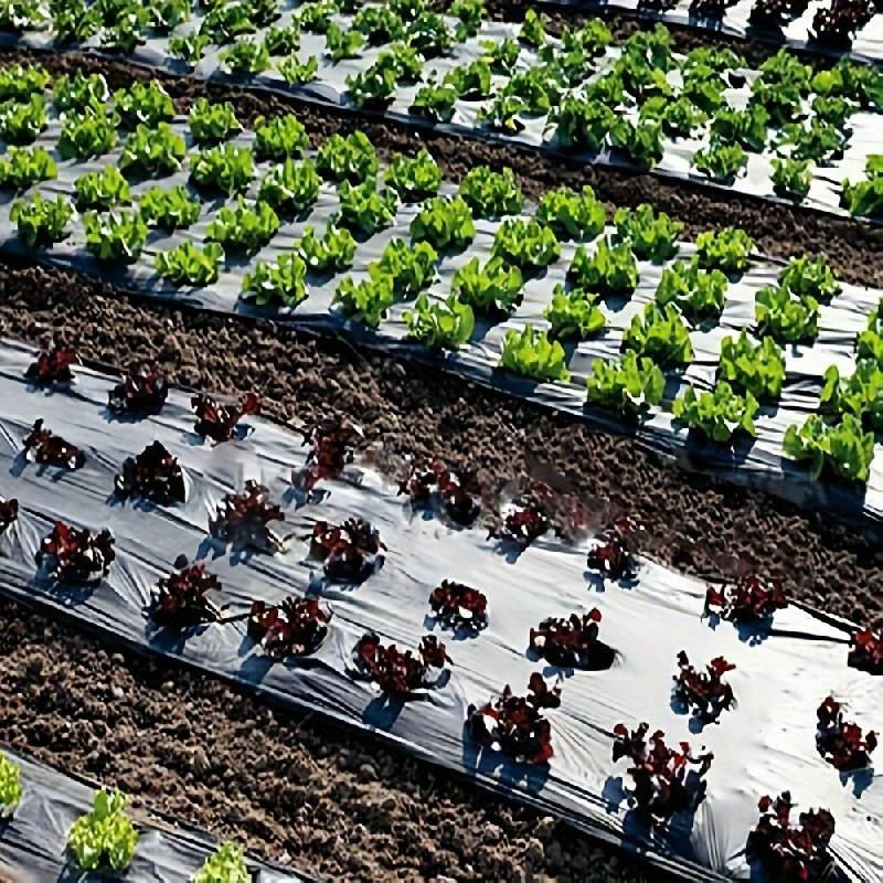 Tissu de Barrière de Paysage Perforé Robuste