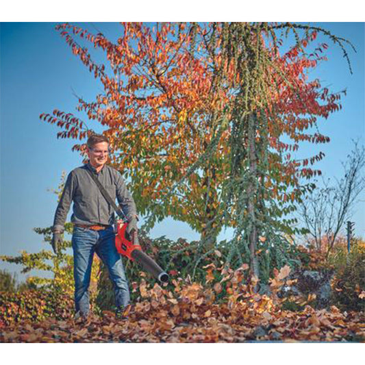 Souffleur de feuilles sans fil EINHELL 3433620 GE-LB 36/210 Li E-Solo Power X-Change (produit seul)