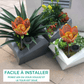 Fleur Solaire Pour Jardin