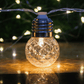 Guirlande Guinguette Solaire avec Ampoules
