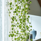 Guirlande Solaire Feuilles de Lierre