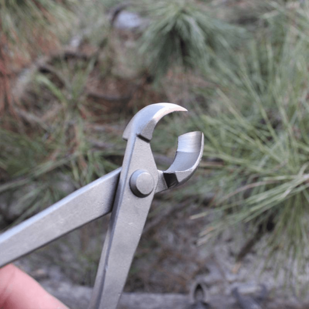 Pince Concave Ultra-Précise Robuste