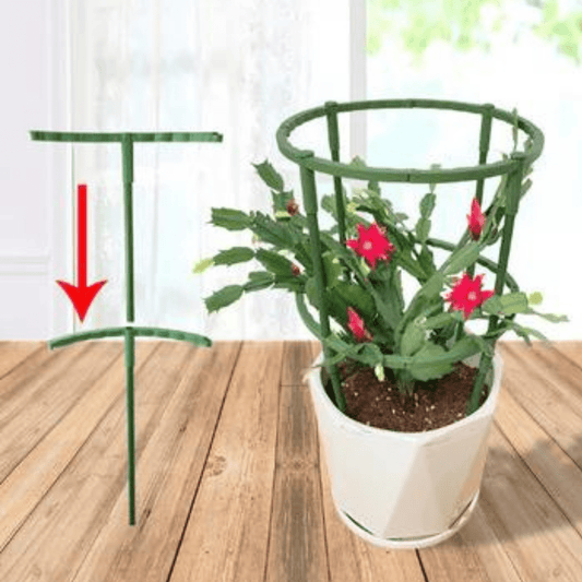Tuteur Plante Circulaire