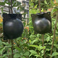 Boules d'Enracinement de Plantes (lot de 5)