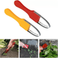 Désherbeur de Jardin