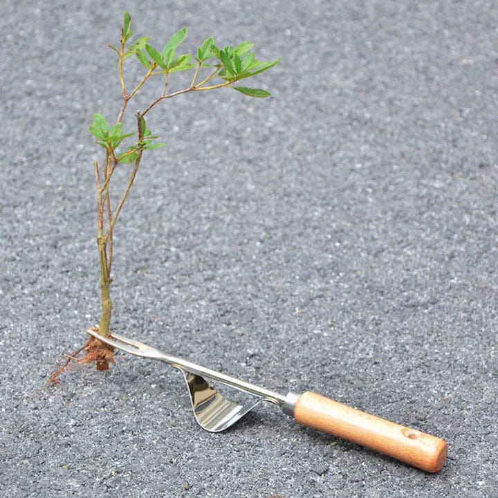 Désherbeur Manuel de Jardinage