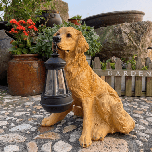 Lampe Chien Solaire Éblouissant