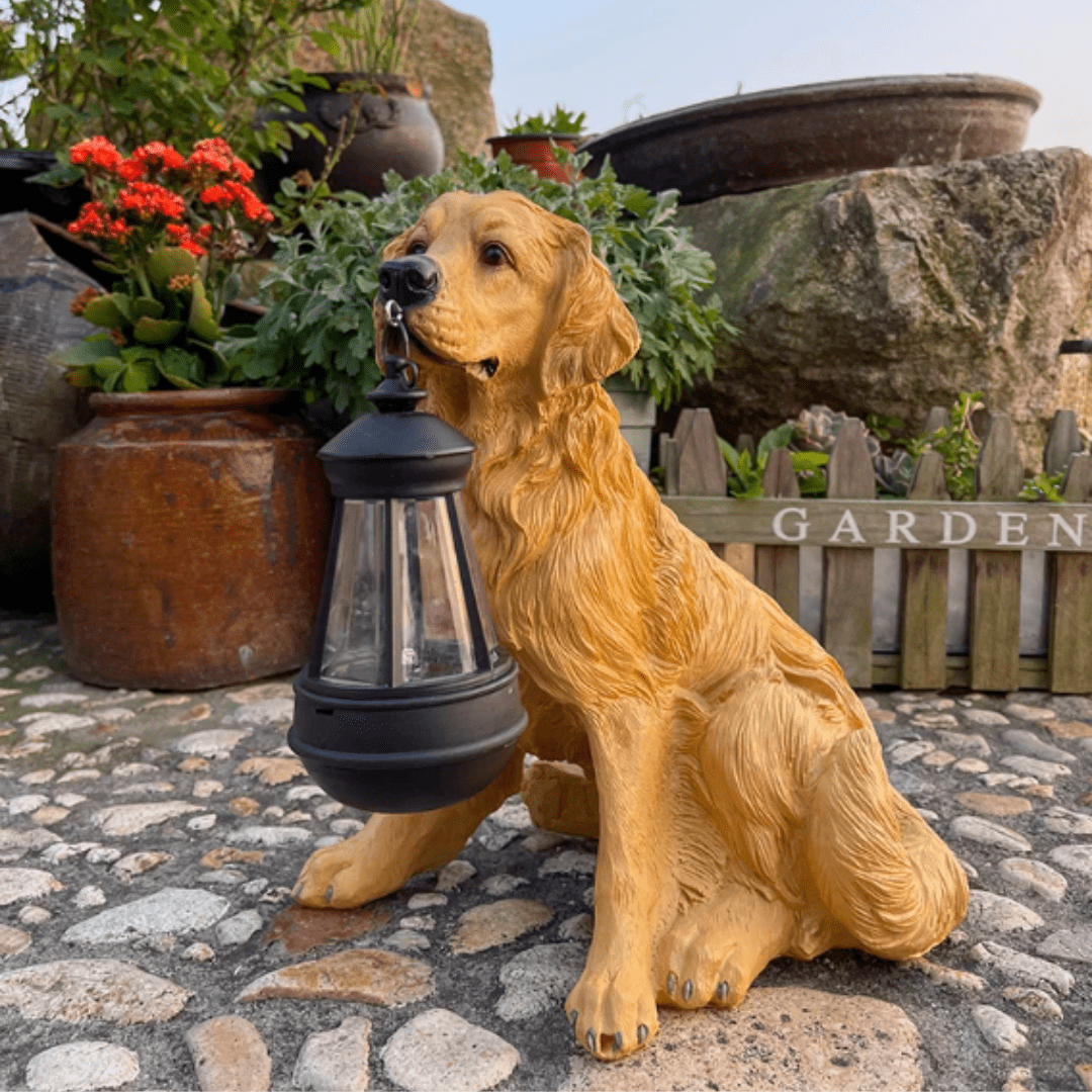 Lampe Chien Solaire Éblouissant