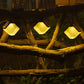 IlluminaIce - Lampe Solaire d'Extérieur Multicolore