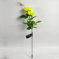 Lampe Solaire "Bouquet de Roses" Originale