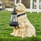 Lampe Chien Solaire Éblouissant