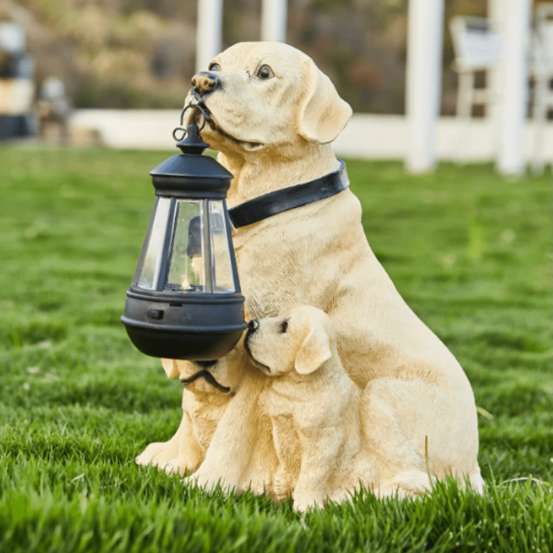 Lampe Chien Solaire Éblouissant