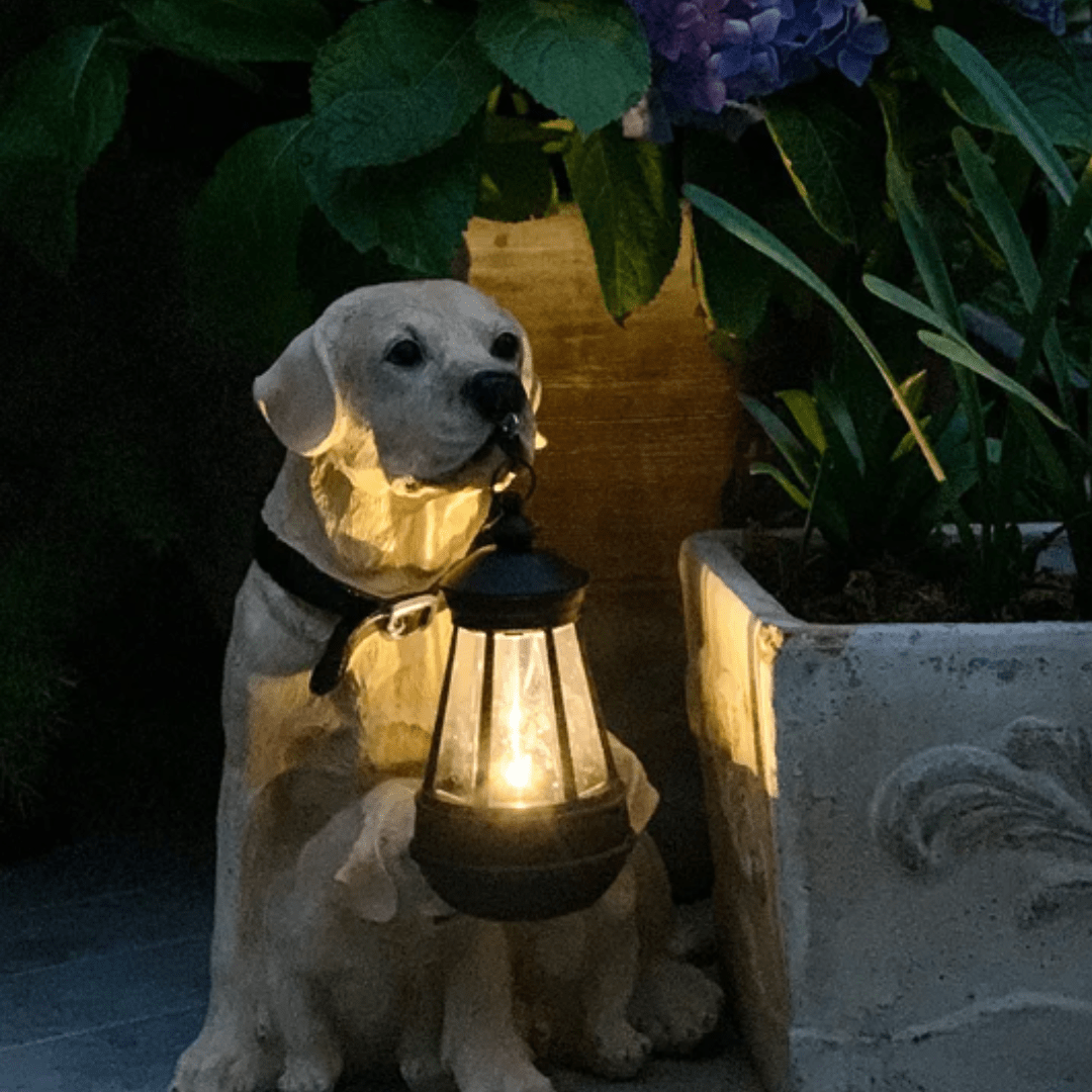 Lampe Chien Solaire Éblouissant