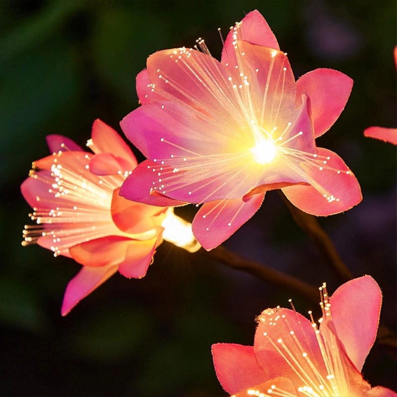 Lampe Fleurie Solaire Éclatante