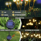Lampes LEDs Lucioles à Énergie Solaire
