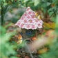 Lampe Solaire Maisonnette des Fées
