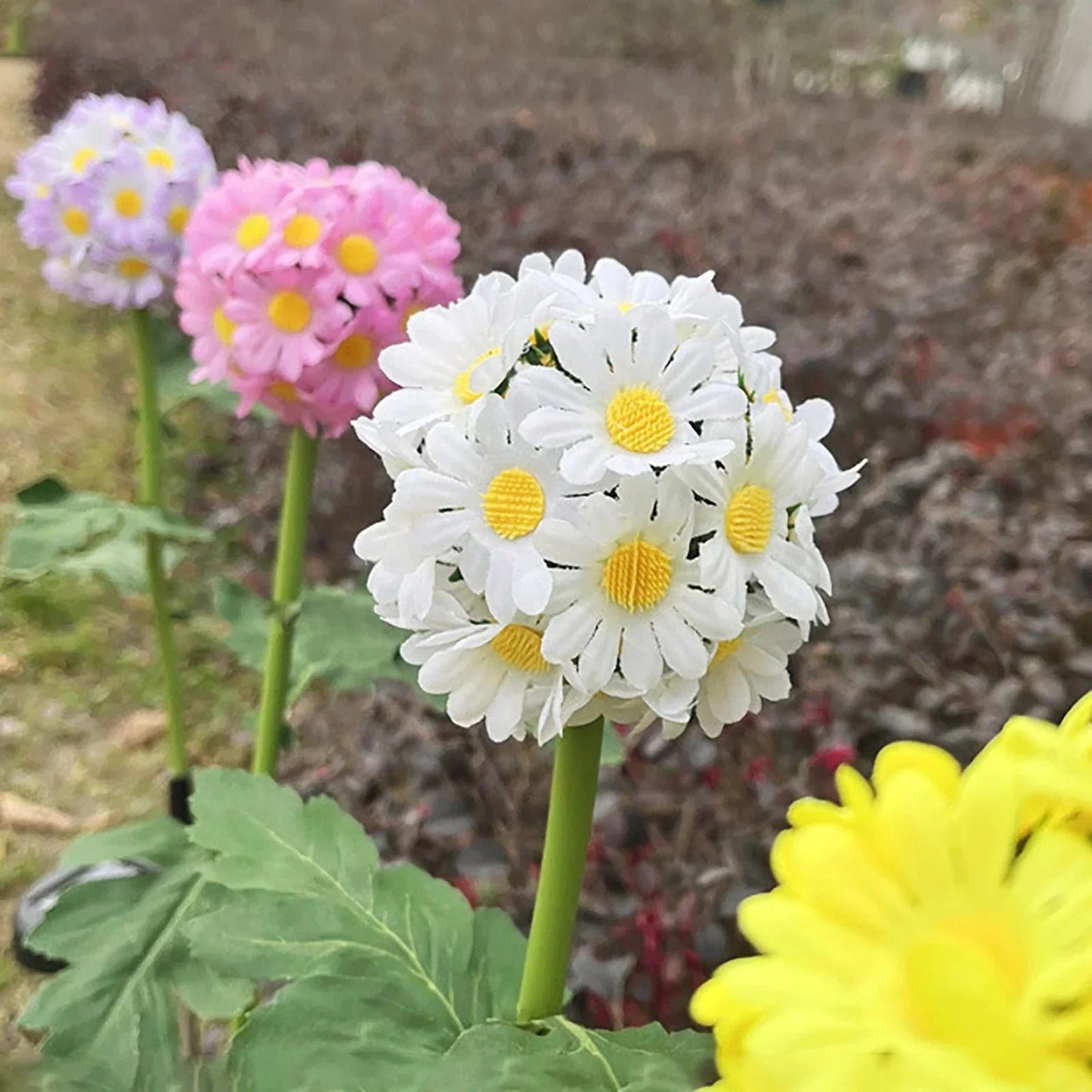 Lampe Solaire Premium Chrysanthème