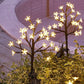 Lampe Solaire Premium Sakura