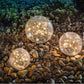 Lampe Solaire de Jardin Étanche