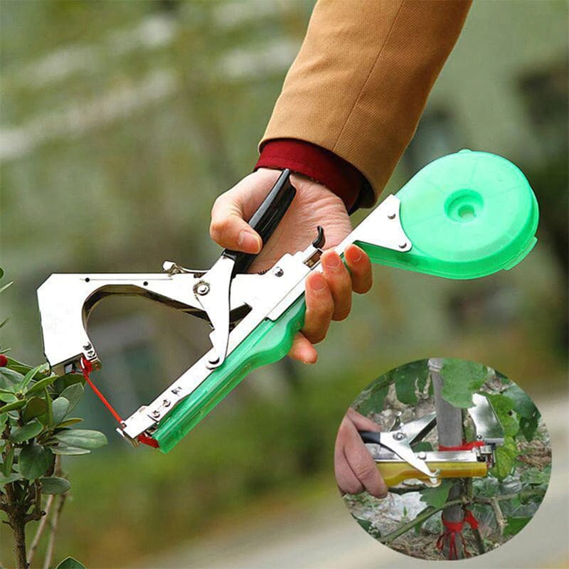 Pince à Palisser - Attache Branche