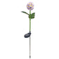 Lampe Solaire Premium Chrysanthème