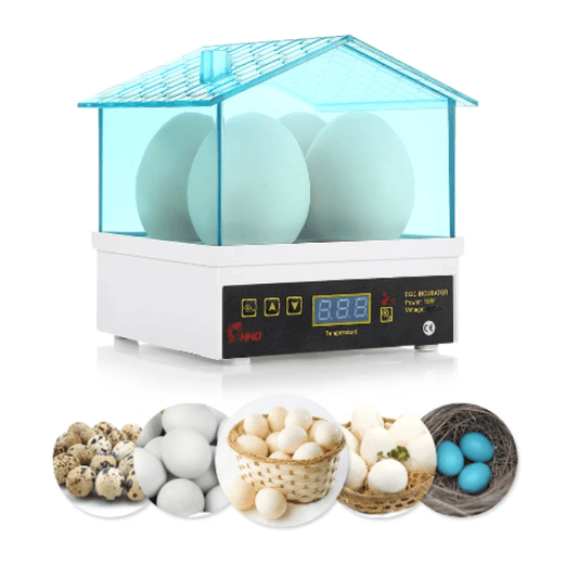 Mini Incubateur d'Œufs Automatique