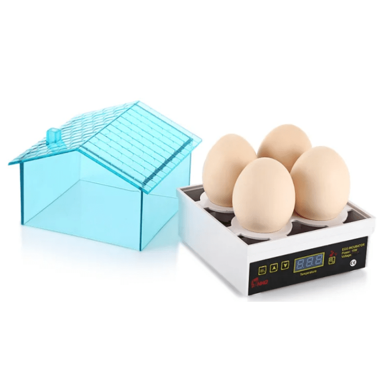 Mini Incubateur d'Œufs Automatique