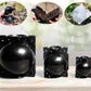 Boules d'Enracinement de Plantes (lot de 5)