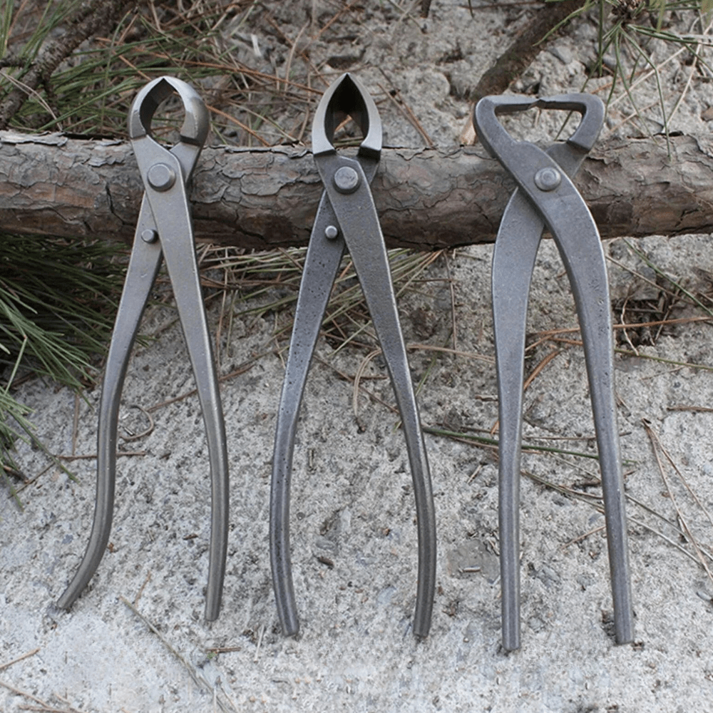 Pince Concave Ultra-Précise Robuste