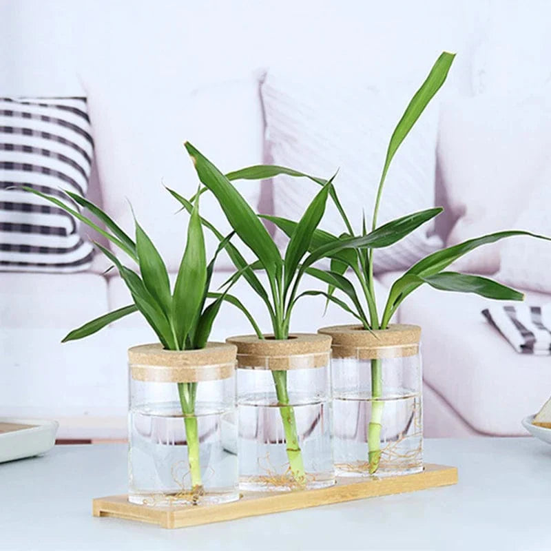 Pot de Fleur Hydroponique - Lot de 2