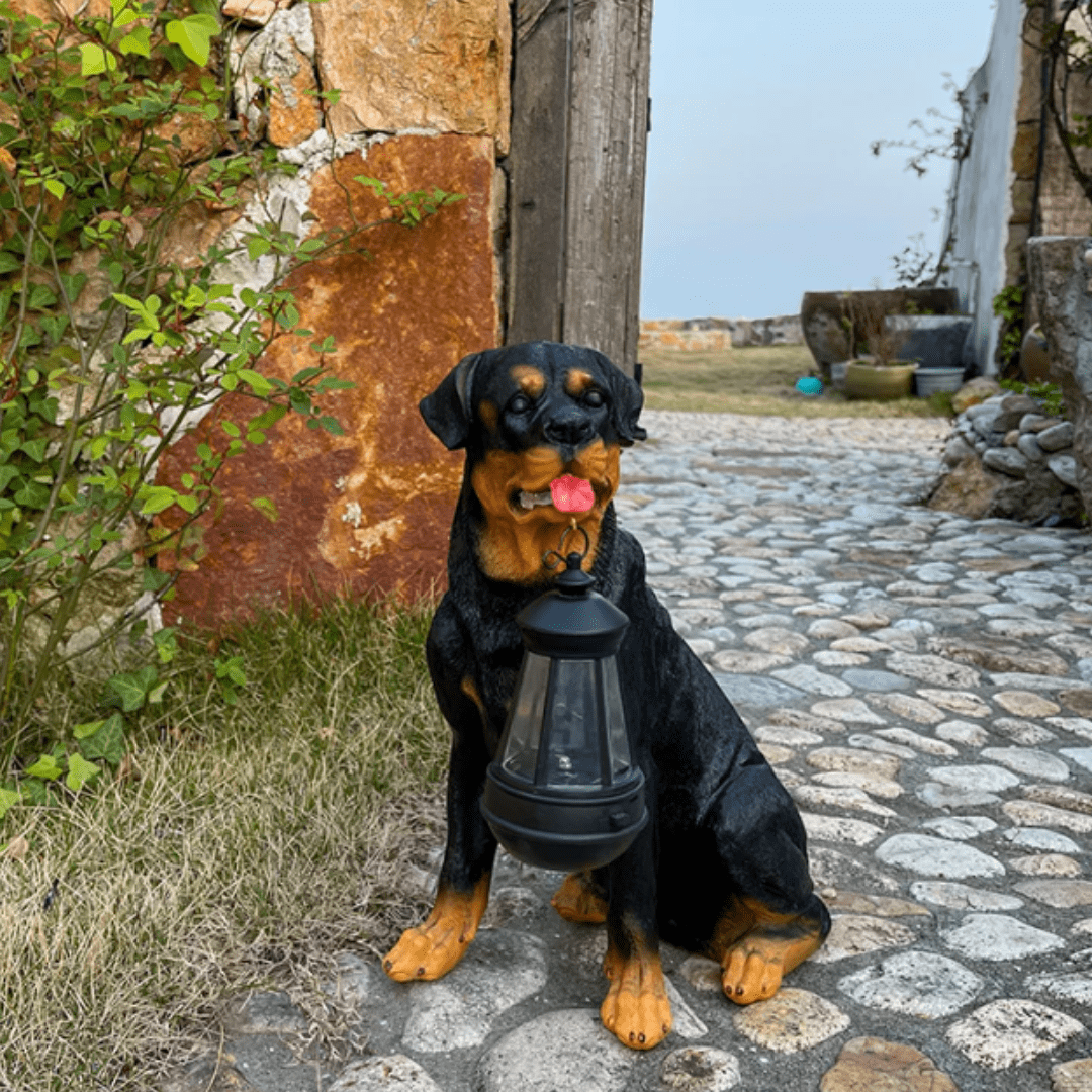 Lampe Chien Solaire Éblouissant
