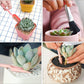 Set d'Outils de Jardinage Miniature Ultra-pratique