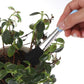 Set d'Outils de Jardinage Miniature Ultra-pratique