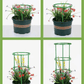 Tuteur Plante Circulaire